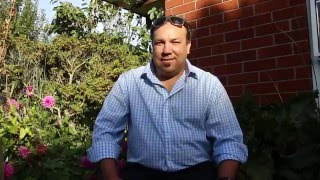 Sunstone Talent Software & IT Jobs in Christchurch, NZ