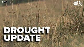 Virginia meteorologist talks recent rainfall and where the drought stands