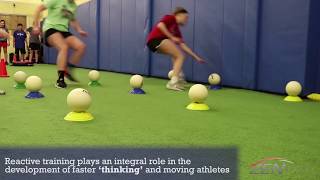 ZenSport - Reactive Agility Training