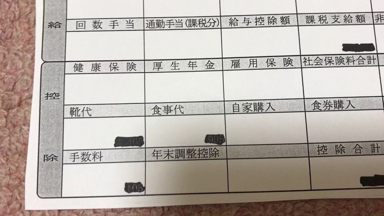 給与明細 高額すぎる 裁判官の生涯給与 Youtube