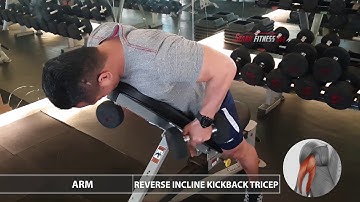 Triceps full -  dumbbell - reverse incline kickback triceps