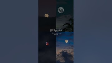 ( لقد كفر الذين قالوا إن الله ثالث ثلاثة )#سورة_المائدة  بصوت الشيخ #احمد_العجمي