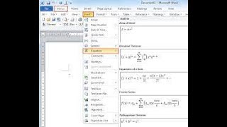 Resource Word Equation Editor Basics