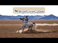 اشترينا حصان جديد وحاولنا نعوده على الميدان