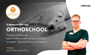 Вебинар &quot;ORTHOSCHOOL. Разрыв передней крестообразной связки у собак и кошек  Диагностика и лечение&quot;