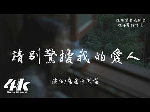盧盧快閉嘴 - 請別驚擾我的愛人『請別驚擾我的愛人，等她心甘情願再轉身。』【高音質HD|動態歌詞Lyrics】♫