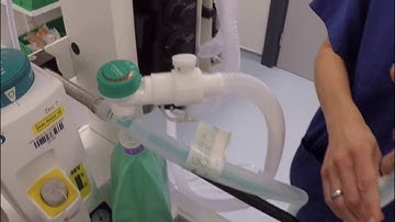 Anaesthetic Machine Check