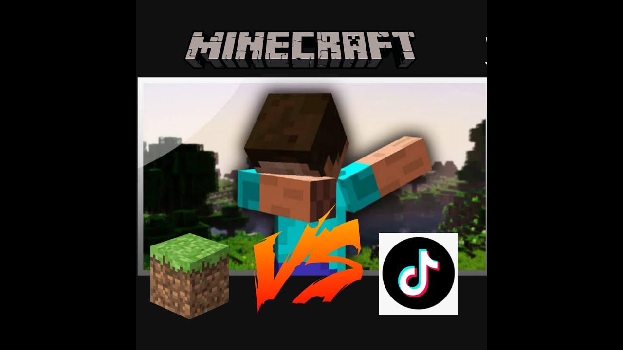 tiktok vs my experience / MINECRAFT - YouTube