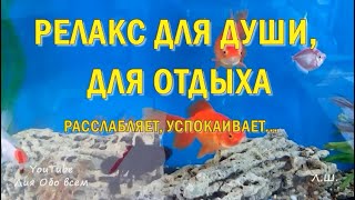 Релакс для души, для отдыха. Расслабляет, успокаивает, одухотворяет...