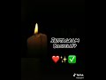 Statut WhatsApp يا راني حالت العدو نشوف الدنيا فلو Rai 