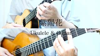 紫陽花/莉燦馮