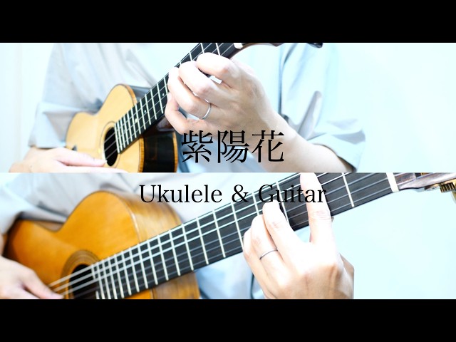 紫陽花/莉燦馮