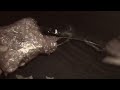 Hihiii maaciw amaa 🤍🫶🤩🤩🤩