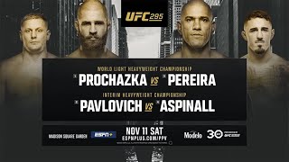 UFC 295: Face the Pain