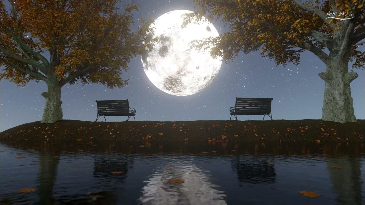 Autumn moon at night(夜晚的秋月) Autumn moon at night(夜晚的秋月)