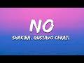 Shakira - No (Letra / Lyrics ) ft. Gustavo Cerati