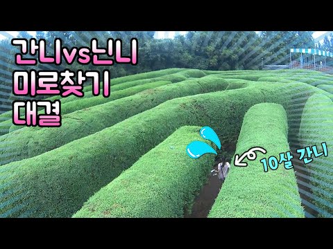 [다시보는 간니닌니] 제주도 김녕 미로공원에서 대결을 해요 <strong>Jeju</strong> Island Maze <strong>Park</strong>
