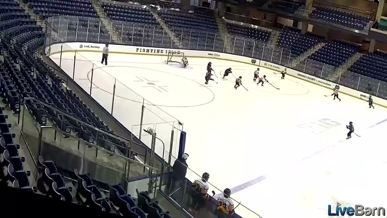 Cool hockey goal