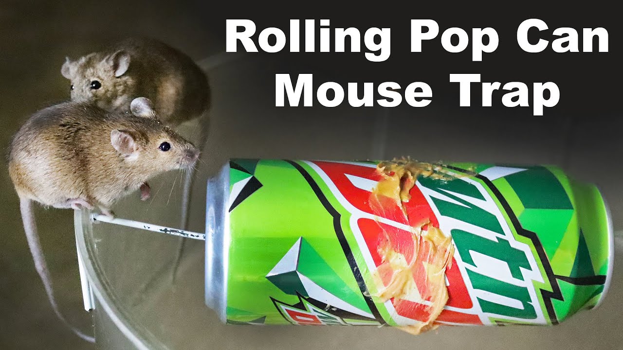 How to catch mice with a pop can and a coat hanger. DIY Mousetrap. Mousetrap  Monday 