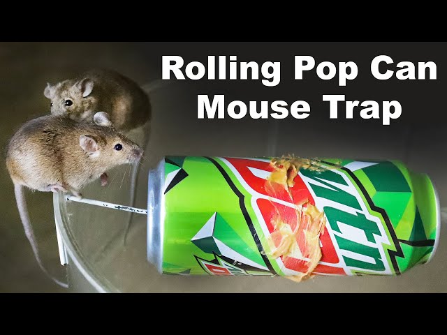 Easy Outdoor Mouse Trap, Genie in the Garden