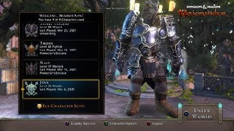 Neverwinter 2021 Toon update