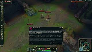 Warwick Bugs Summary