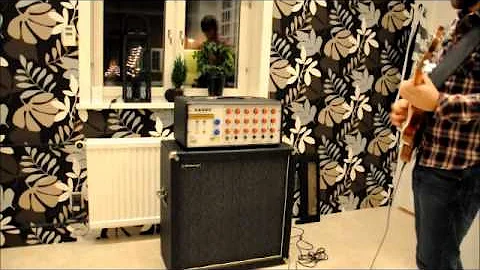 Tommy Folkesson modded Laney PA 100 first run