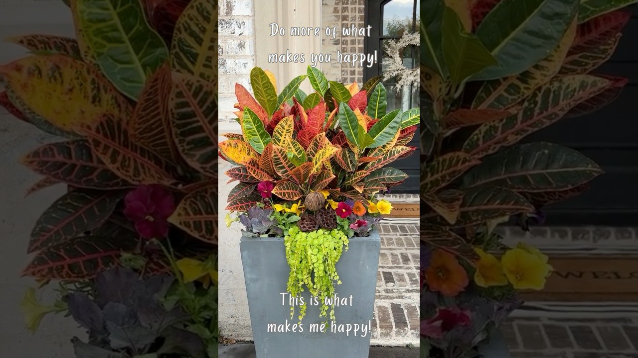 Fall planter ideas for your home! 