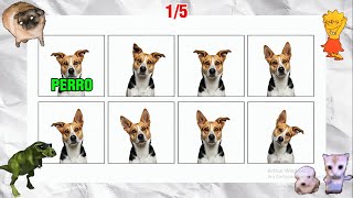 Di La Palabra Al Ritmo EN INGLÉS (Say The Word On Beat Challenge) Nivel 1-3 Fácil, Medio y Difícil screenshot 2