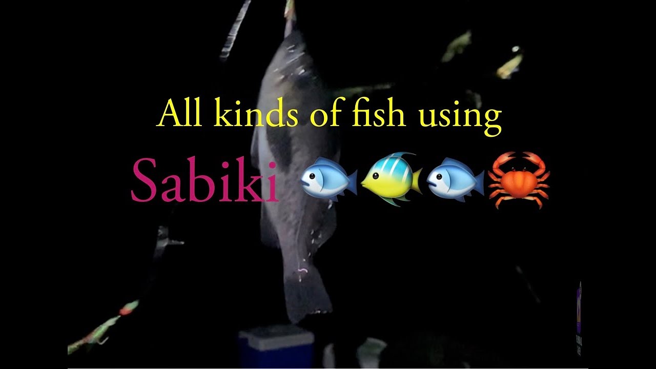 Crabbing and Fishing at Bodega Bay jetty YouTube