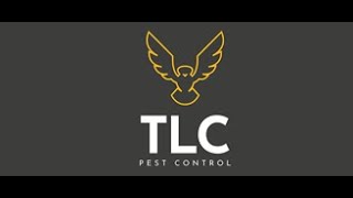🐾 TLC Pest Control – Your #1 UK Pest Experts! 🐝🐀🕊️