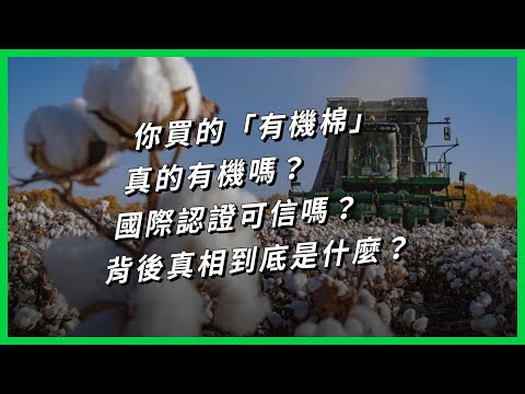 你買的「有機棉」真的有機嗎？國際認證可信嗎？背後真相到底是什麼？【TODAY 看世界】