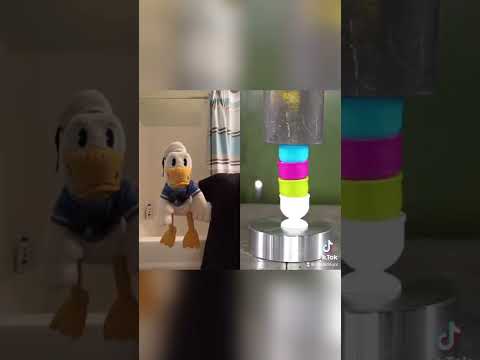 Donald Ducc can’t