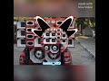 grave o bonde do gato preto#music#nãoflopa