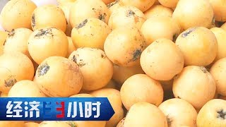 Economy in 30 Minutes 20171022 Fall in love with this land丨CCTV