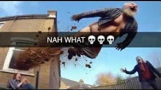 Details Unusual Memes Compilation V122 Guide