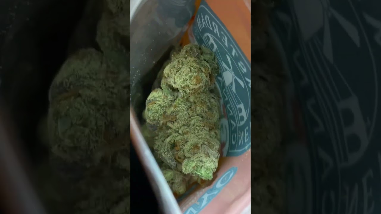 NEW AMSTERDAM GENOA CULTIVAR NYC SMALL BATCH GROWER! Freeze Cured 