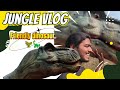 jungle vlog found friendly Dino 🦖🦕