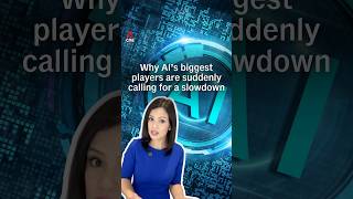 Information CNA Explains: Why AI’s biggest players are suddenly calling for a slowdown Guide