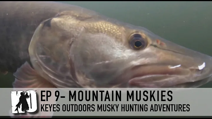 Mountain Muskies in Virginia - Keyes Outdoors Musk...