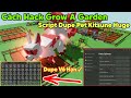 Cách hack grow a garden script bug dupe vô hạn Pet Kitsune huge, dupe vô hạn full pet siêu to