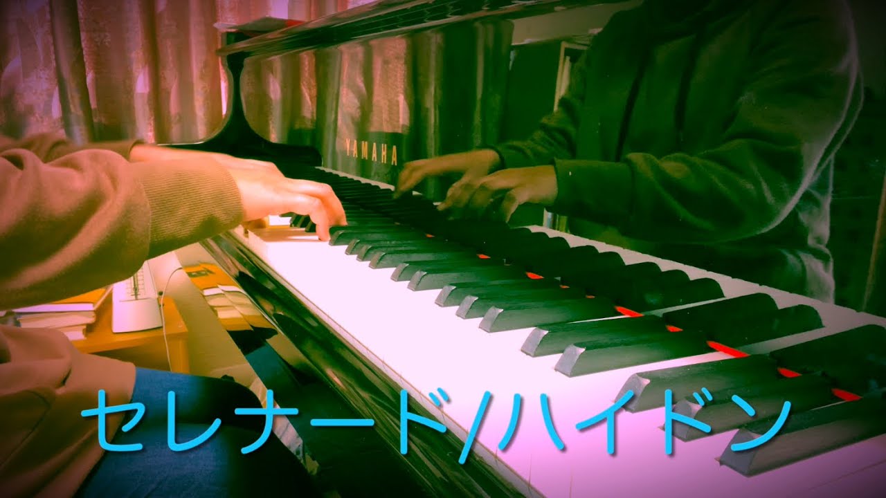 『セレナード/ハイドン:Serenade/Haydn』