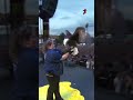 BALD EAGLE CRASHES UFC WHITE HOUSE WEIGH INS!