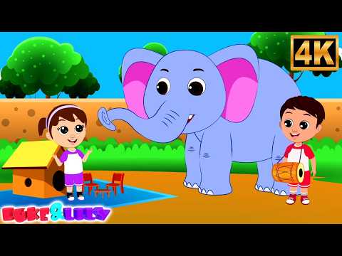 King Elephant