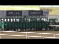 Race 2 - Longines Prima