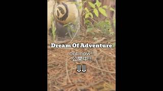 dream of adventure #short B
