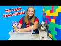 Wiggles and Waggles Pet Care Challenge with the Assistant