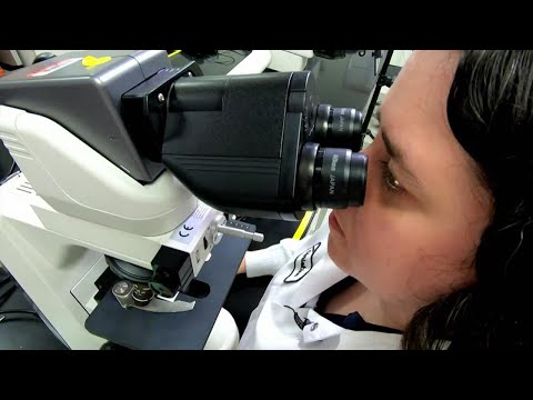Pollen count in Houston Meet the scientist tracking our allergy forecast