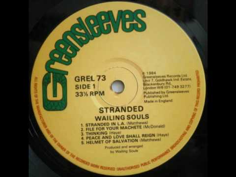 Wailing Souls & Roots Radics - Sunrise Till Sunset