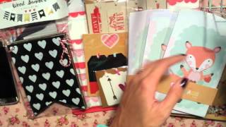 Target One Spot Haul and Mini Album Share